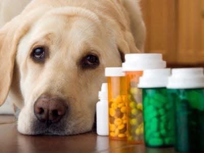 Medication Visits